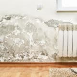 Moisissure et humidité sur le mur d'une maison insalubre
