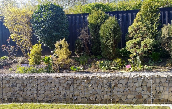 Mur de soutènement en gabion dans un jardin