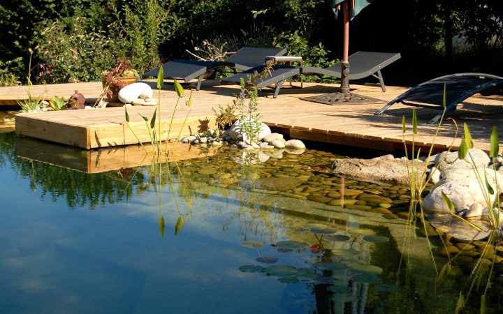 Piscine naturelle et écologique