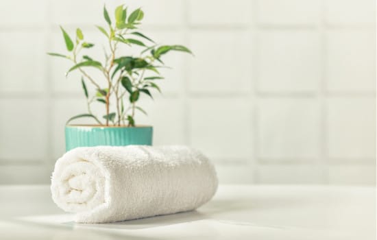 Salle de bain vert sauge couleur tendance 2025